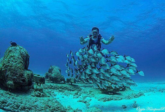 Museo Subacuatico de Arte